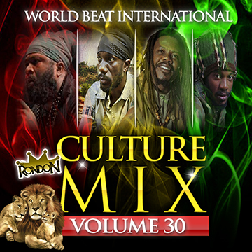 CULTURE MIX REGGAE VOL. 30 (DOWNLOAD ONLY)